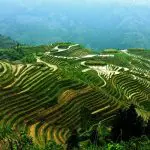Clients at Longji rice terrace Guilin
