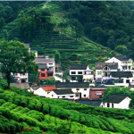 Meijiawu Tea Village in Hangzhou