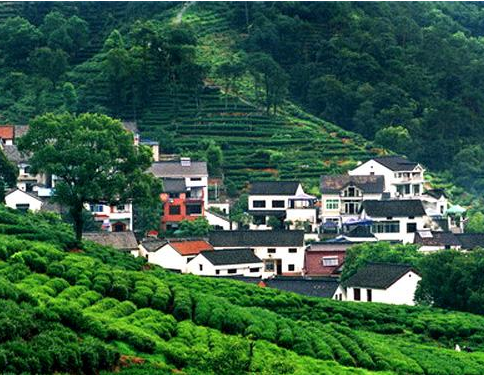 Meijiawu tea village