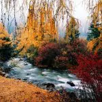 Sichuan Mount Siguniang Scenery