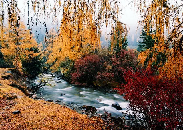 Sichuan Mount Siguniang Scenery