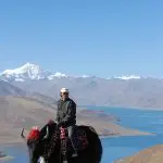 Yak ride at Yamdrok-tso Lake