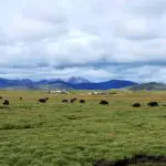 Yunnan to Tibet Overland Tour (Lijiang-Lhasa)