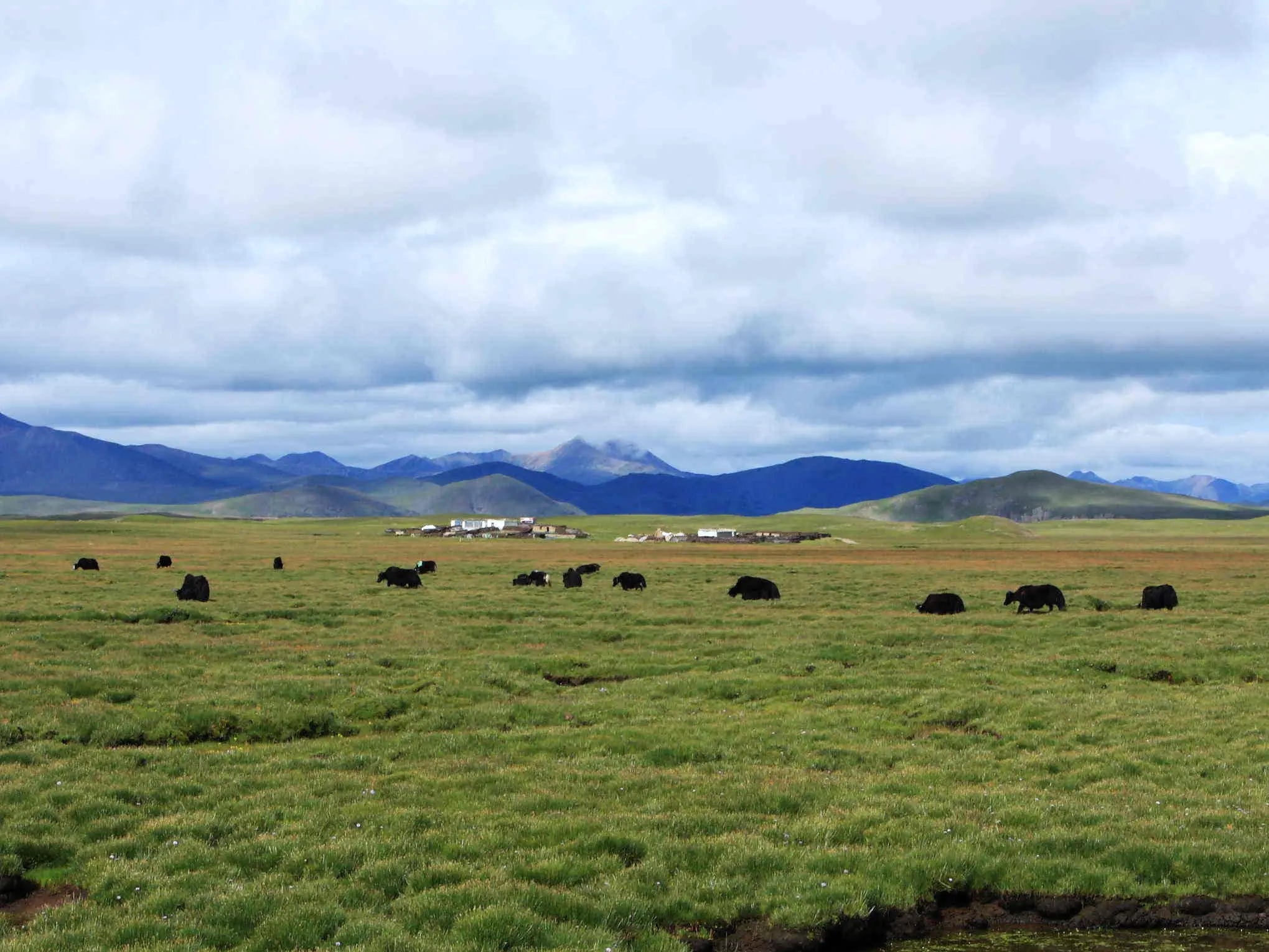 Yunnan to Tibet Overland Tour (Lijiang-Lhasa)