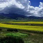 The Landscape of Haibei