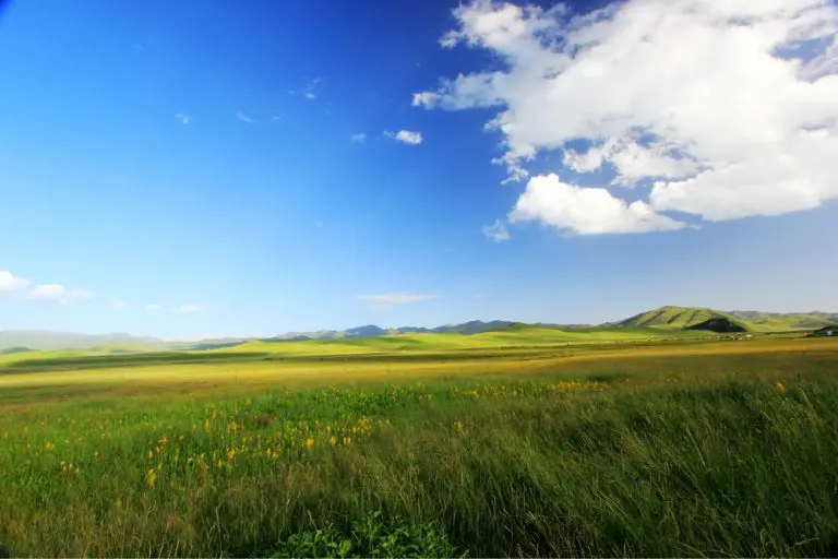 Majestic Sungke Grasslands Along the Silk Road