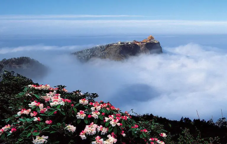 Mount Emei and Leshan Tours