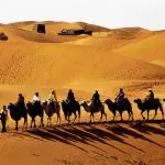 Silk Road Adventure – Camels in the desert