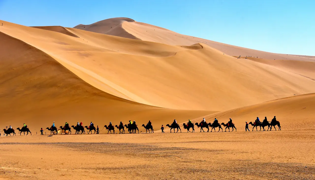 Dunhuang Camel Riding