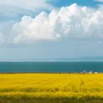 Tibet’s Serene Qinghai Lake