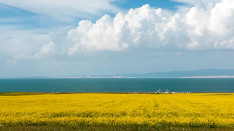 Tibet’s Serene Qinghai Lake