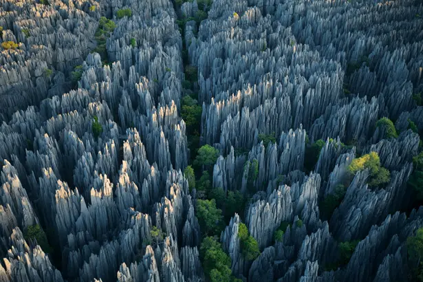 Stone Forest in Yunnan