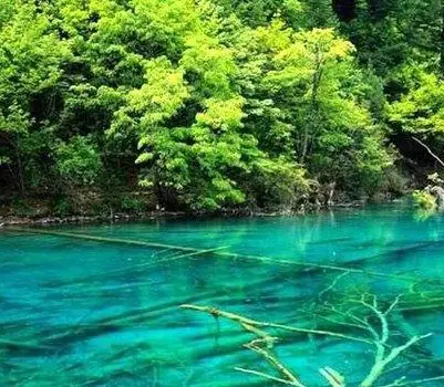 Jiuzhaigou in Summer
