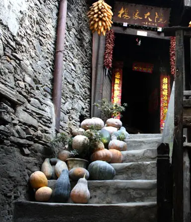 Taoping Qiang Village