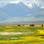 Tashkorgan Grasslands on the Pamir Plateau