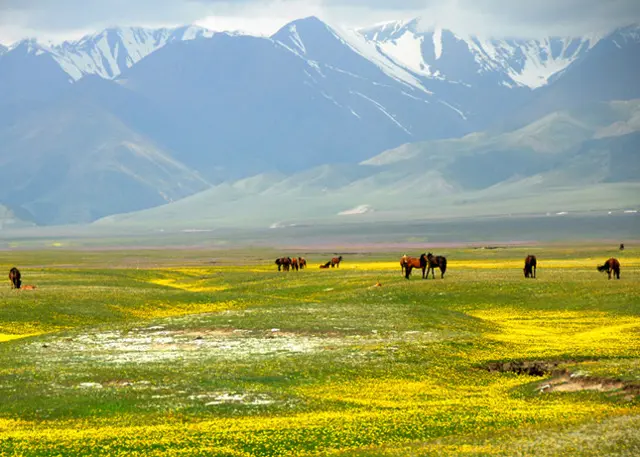 Tashkorgan Grasslands on the Pamir Plateau