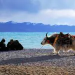 Grand Silk Road & Tibet Tour from Kashgar to Lhasa