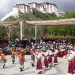 Celebrate Tibetan Shoton Festival