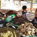 Locals of Tuyuk Valley in Turpan