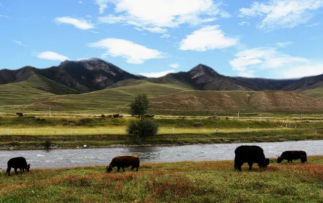 Xiahe, the small Tibet in Gansu