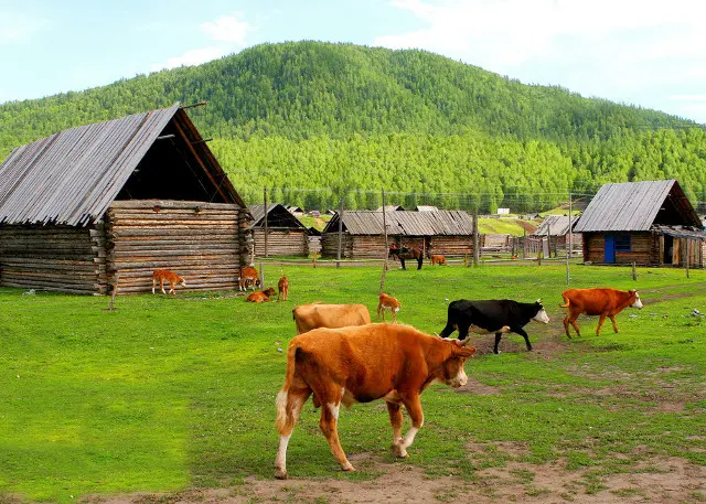 Xinjiang Hemu Village