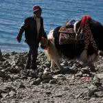 Lhasa Yamdrok Lake Tour with Local Family Visit