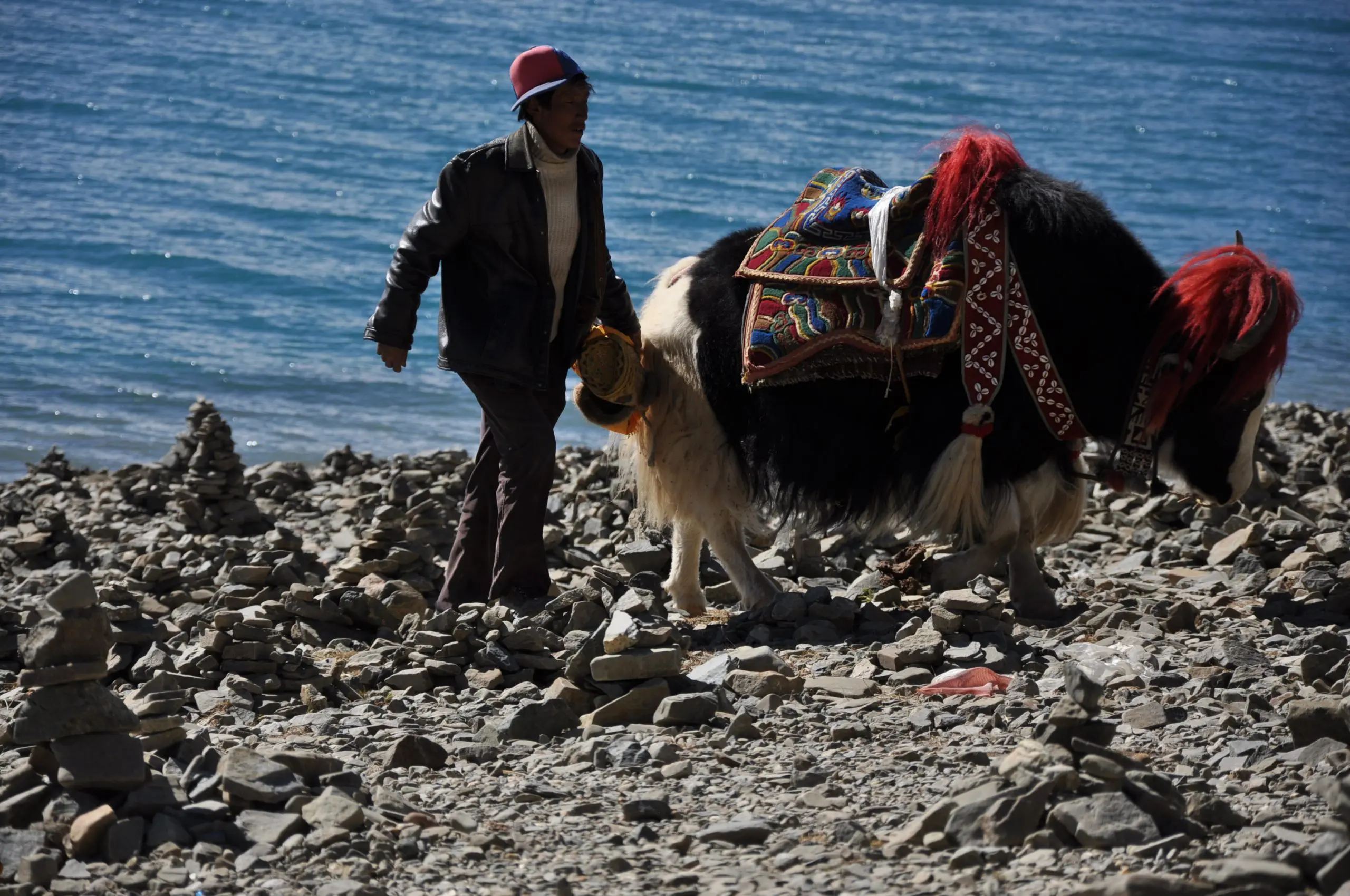 Lhasa Yamdrok Lake Tour with Local Family Visit