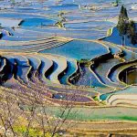 Fanscinating Yuanyang Rice Terraces