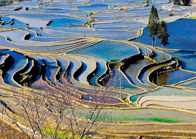 Fanscinating Yuanyang Rice Terraces