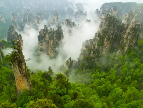 Zhangjiajie National Forest Park