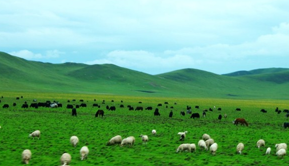 Northern Sichuan Aba