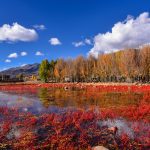 Autumn landscapes around Daocheng