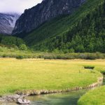 chonggusi grassland yading nature reserve