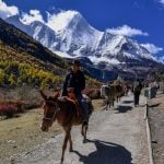 riding horse to Milk lake at Yading Nature Reserve