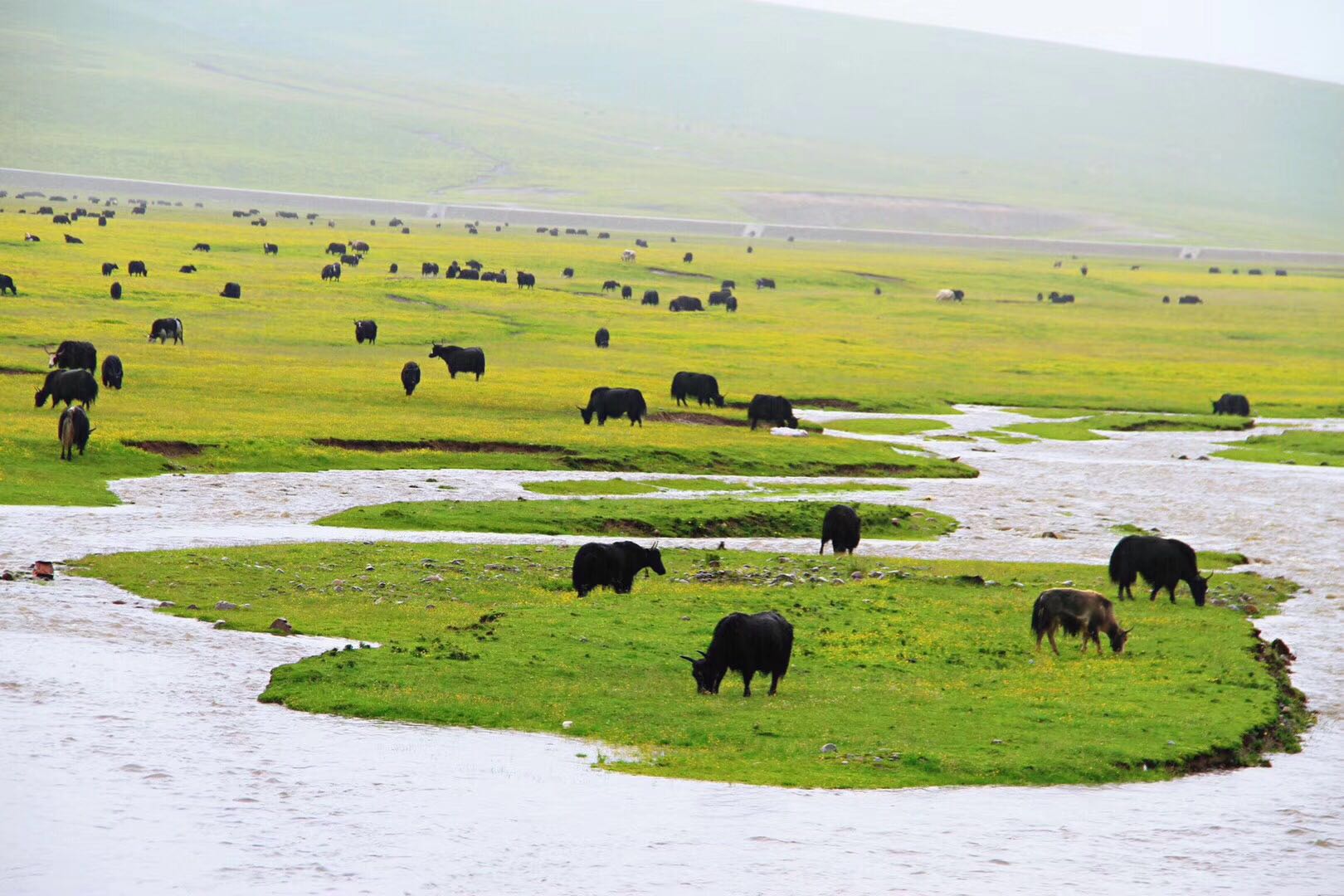 Grasslands and scenic areas in Northern Sichuan Province