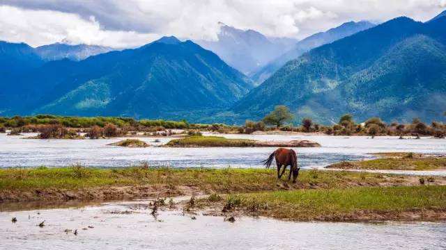 Scenic Drive along the Niyang River
