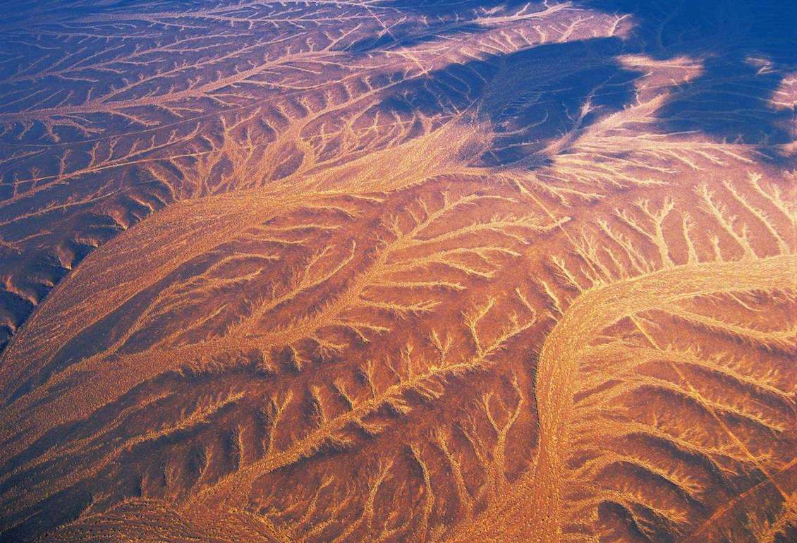 Gurbantunggut Desert