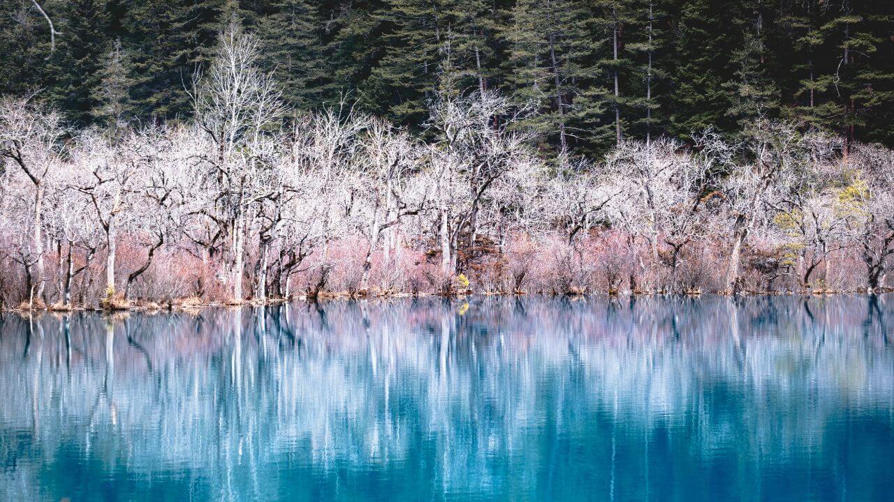 jiuzhaigou valley highlights