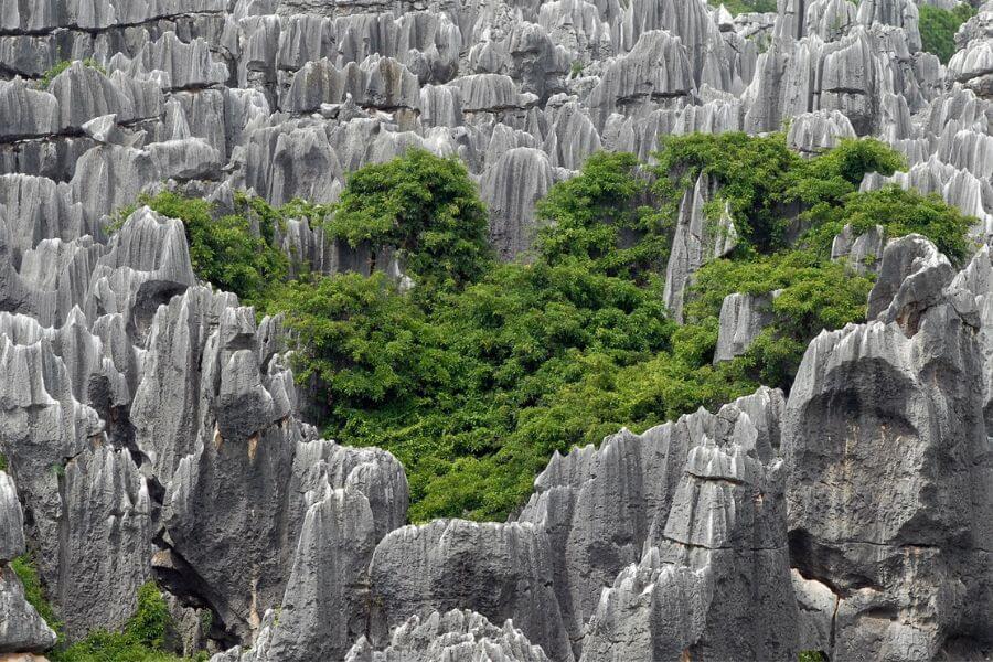 Stone Forest in Kunming