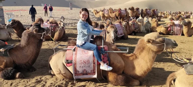 WindhorseTour Traveler Camel Riding in Dunhuang