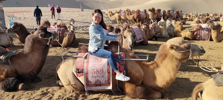 WindhorseTour Traveler Camel Riding in Dunhuang