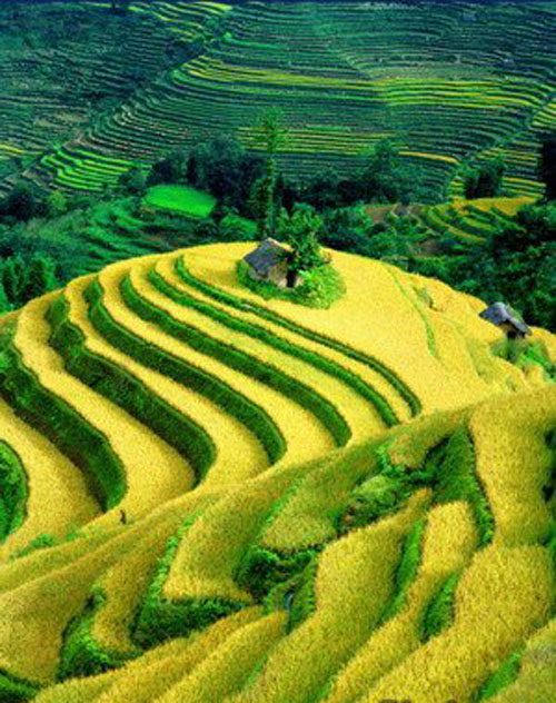 Dayangjie Hani Village