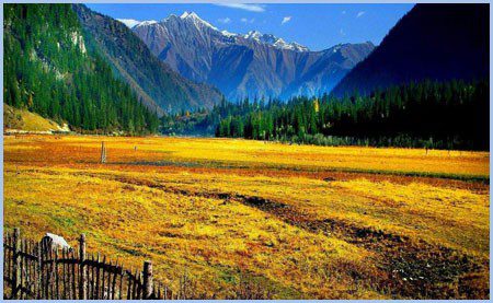 Lijiang Dry Sea Meadow (Ganhaizi)