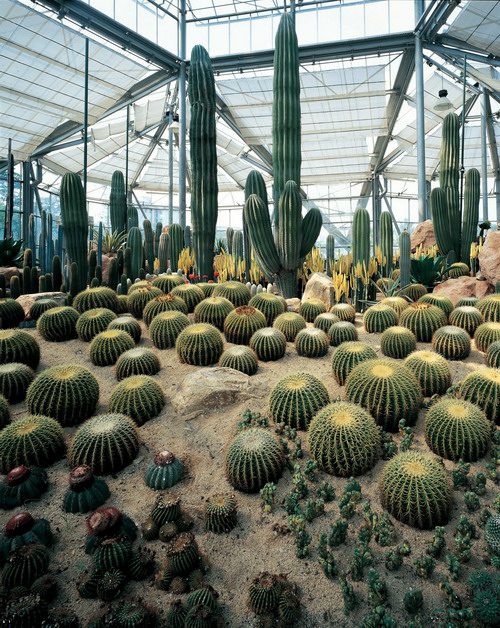 South China Botanical Garden