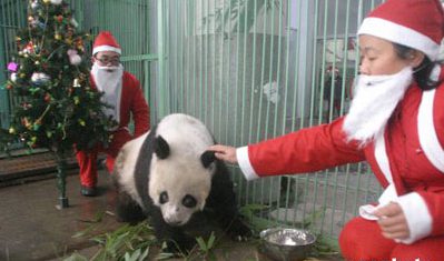 Christmas in China - A Growing Tradition | WindhorseTour