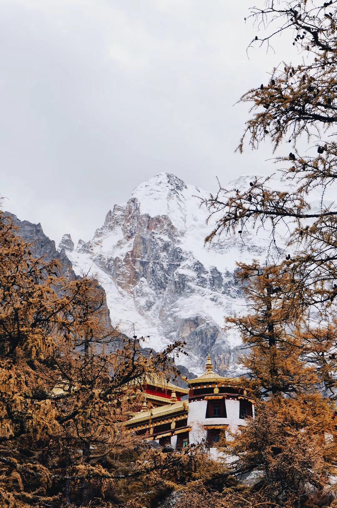 Chonggu temple and Mt. Xiannairi Yading nature reserve