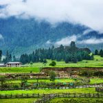 Lulang forest and villages Tibet