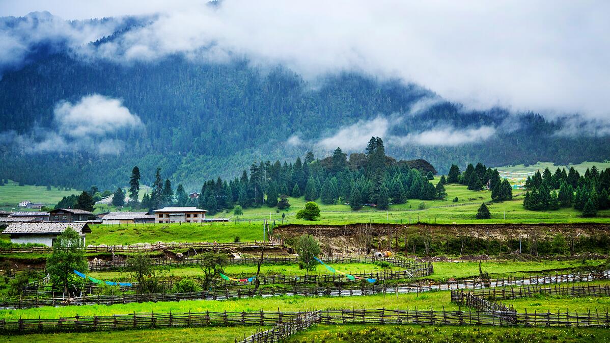 Lulang forest and villages Tibet