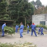 Panda volunteering in Dujiangyan panda center