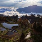 Shencun village Yuanyang rice terrace